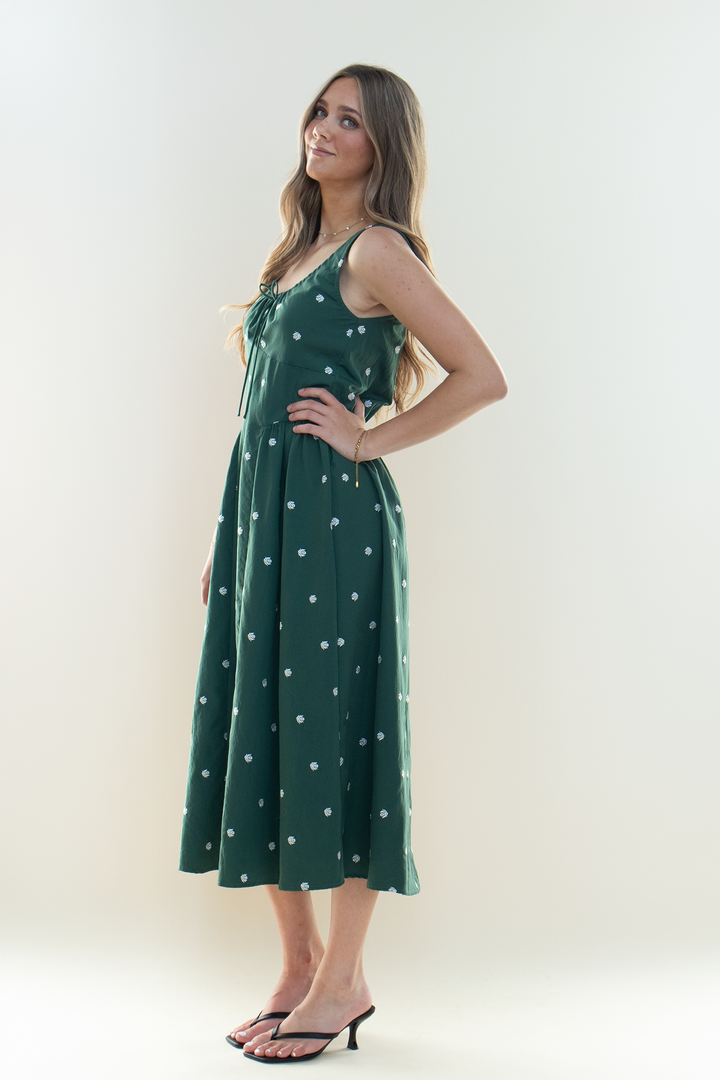 For the Plot Dress