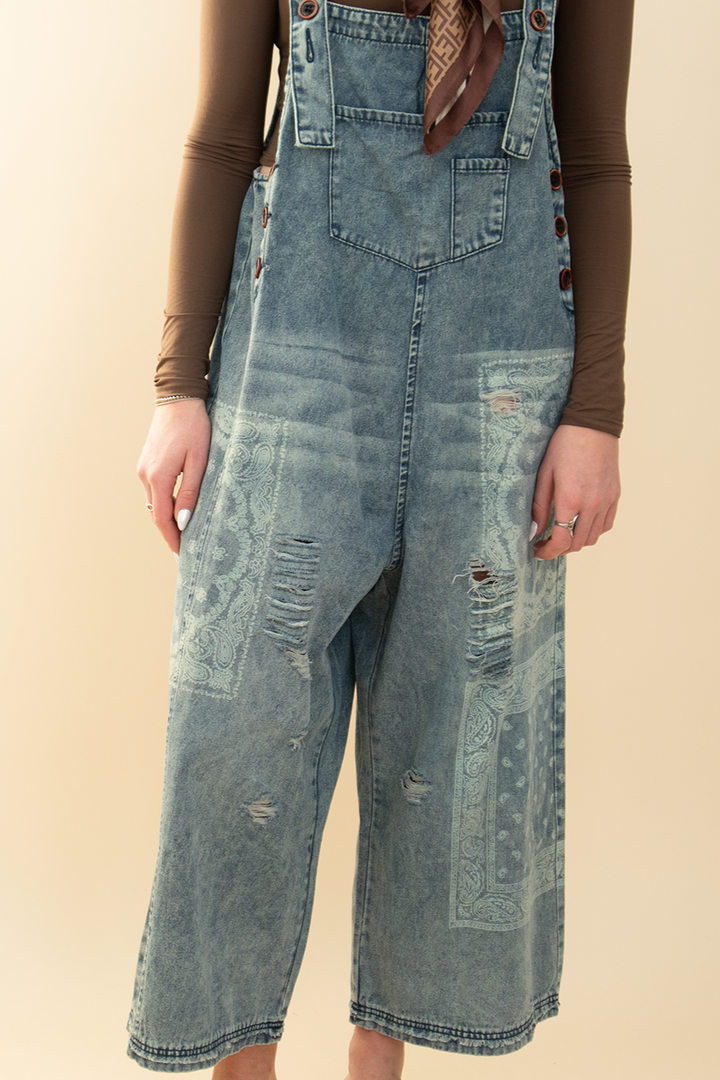 She's An Artist Overalls