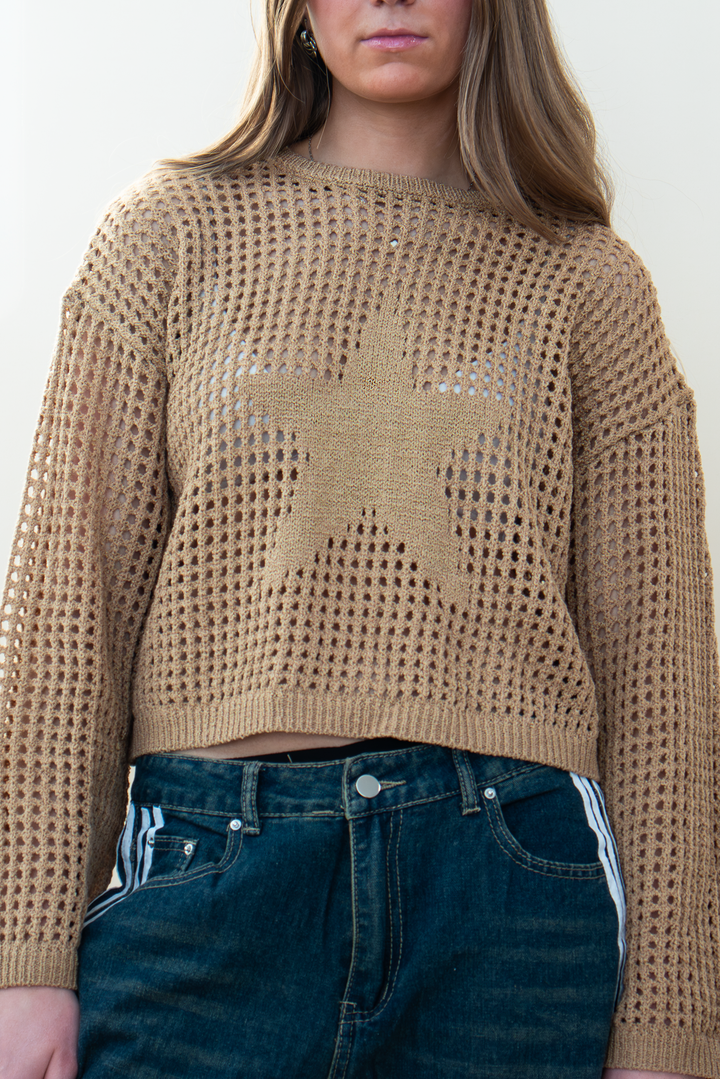 Close-up of tan open-knit sweater featuring a large knit star design, crew neckline, and cropped hem.
